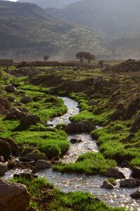 River green mardin