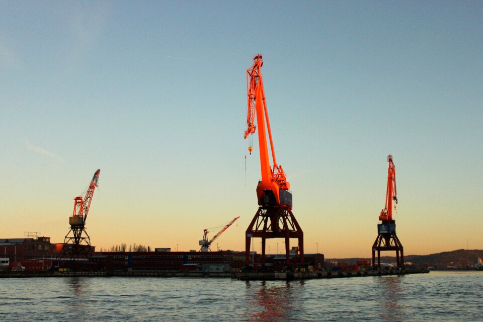 Crane morning sun sunrise
