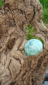 Nature wood materials