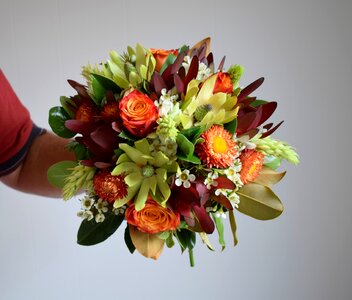 Roses florist