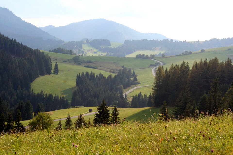 Nature slovakia country
