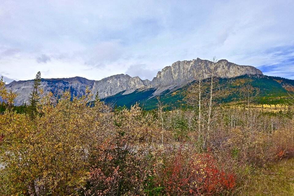 Wild wilderness mountains
