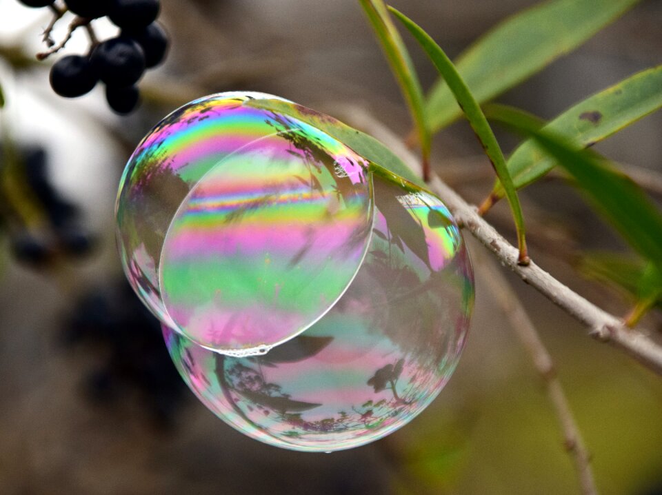 Colorful ease ball
