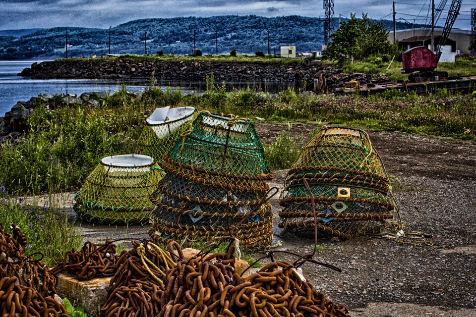 Basket cage fishing