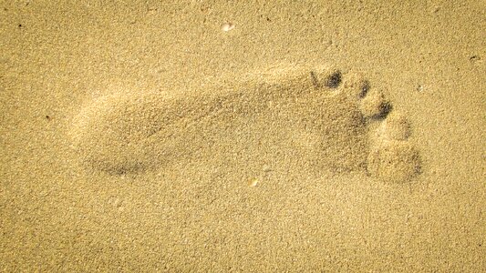 Summer barefoot photo