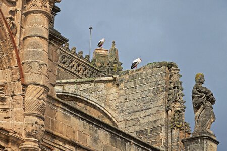 Church facade architecture photo