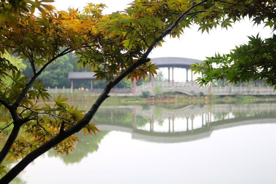 Lake chongqing arched bridge gallery