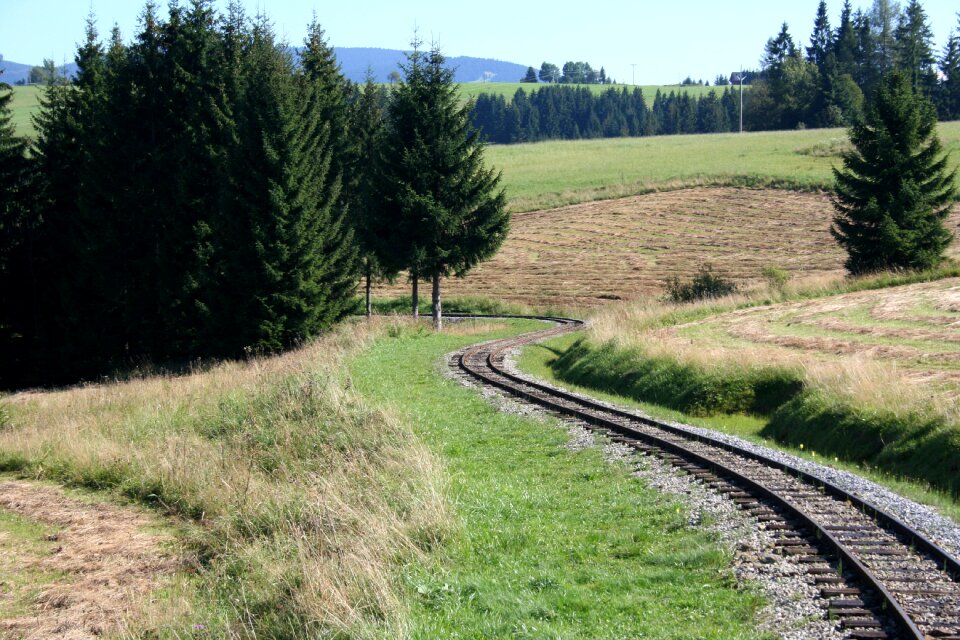 Railway nature rails