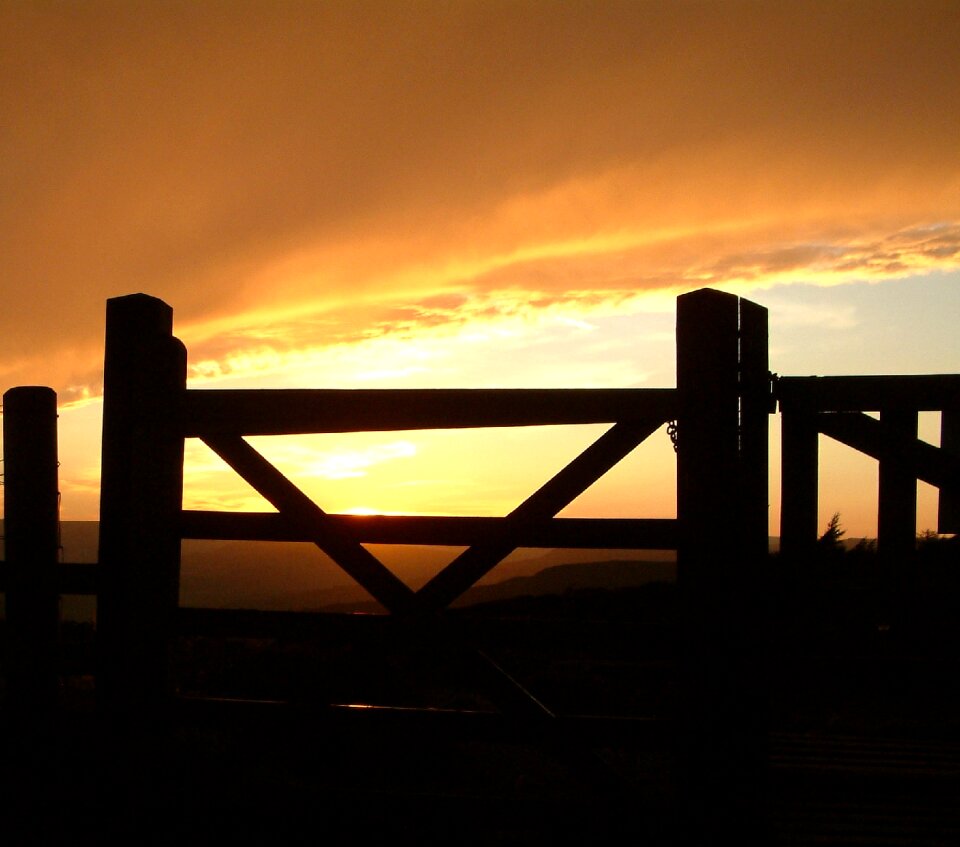 Landscape orange gold