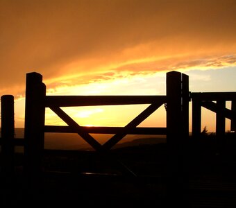 Landscape orange gold