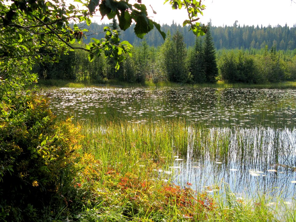Scenic outdoor bc
