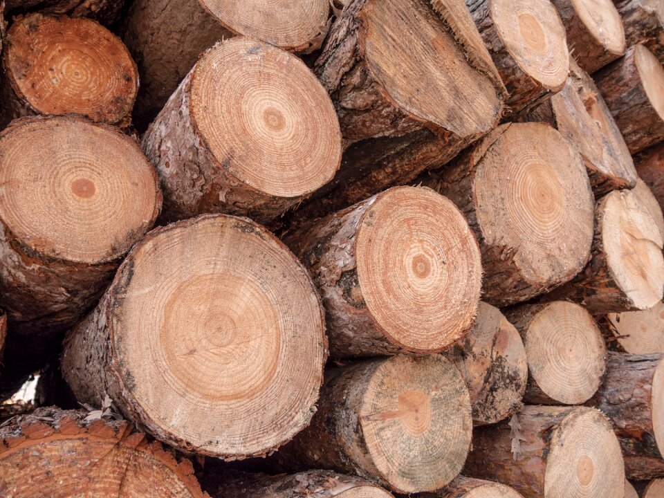 Sawmill canada brown