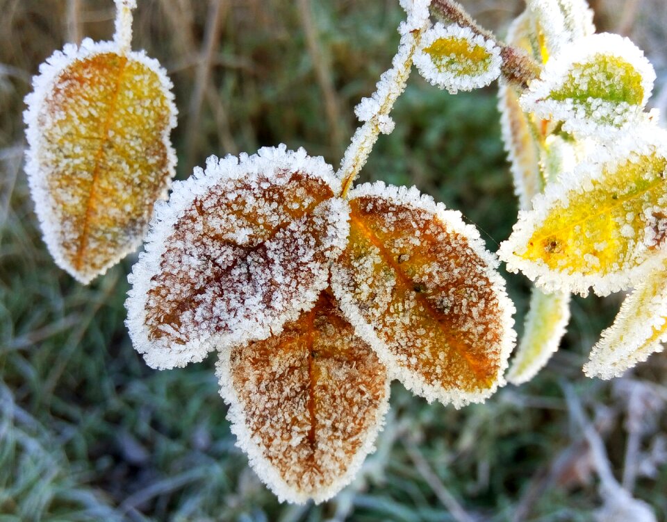 Winter cold morning