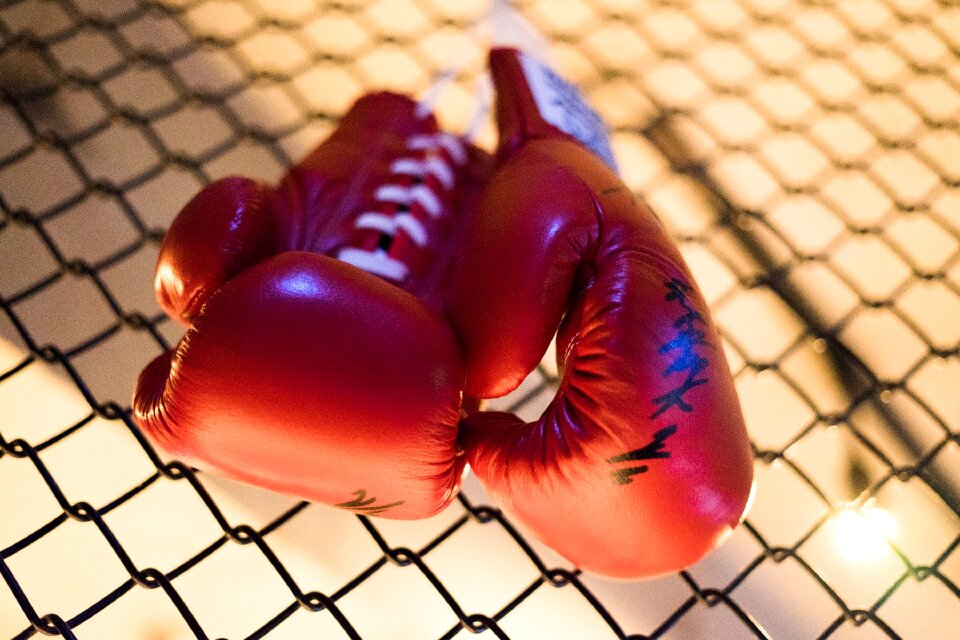 Red boxing gloves wrestle