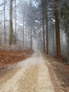 Nature landscape mood