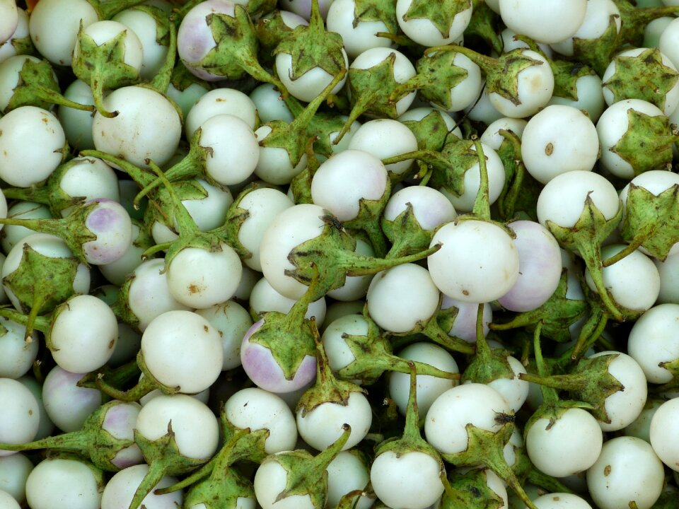 Tropical fruits market photo