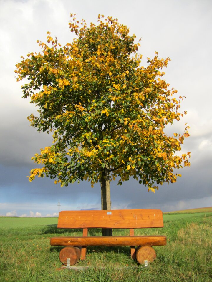 Benches nature rest area bank