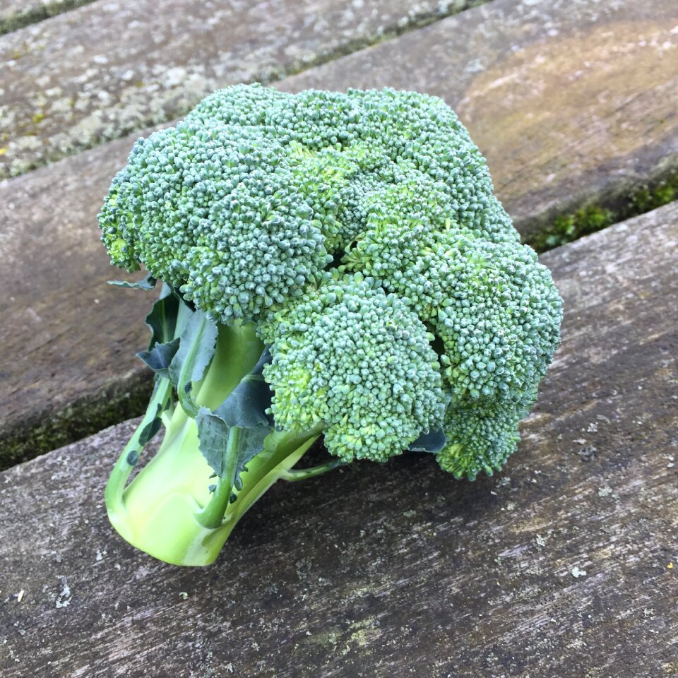 Food vegetarian healthy