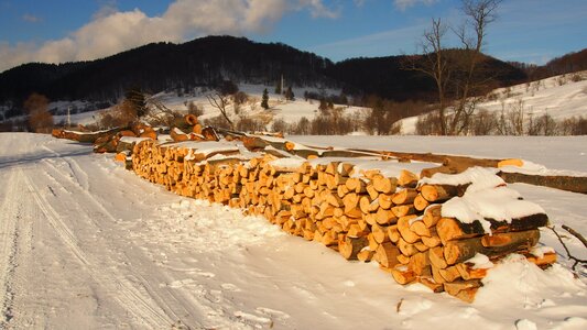 Country woodpile lumber photo