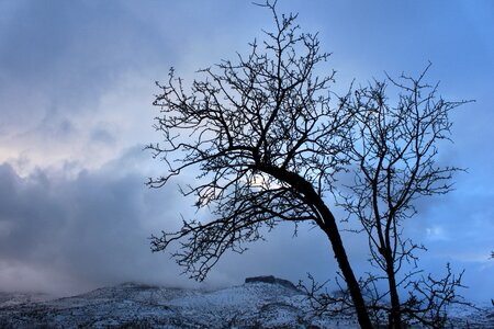 Nature mountain winter