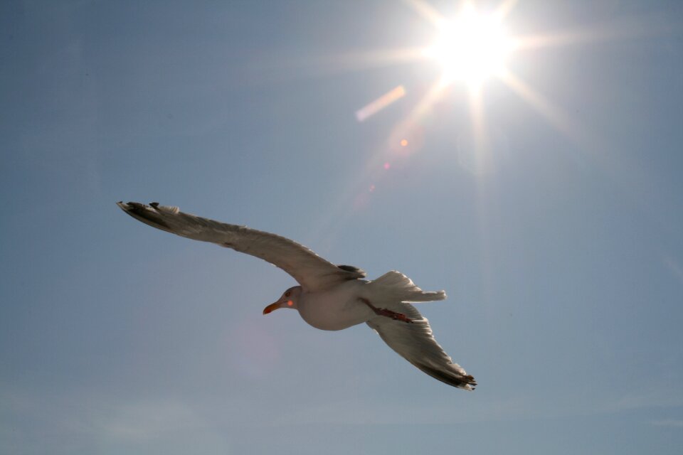 Sky sun blue