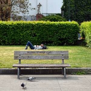 Man sleep on the grass photo