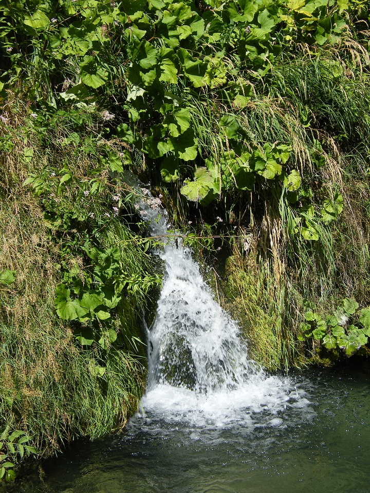 Green bubble spring