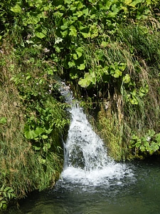 Green bubble spring