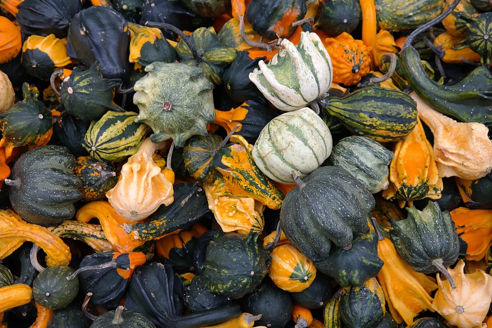 Autumn orange autumn decoration