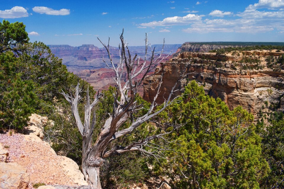 Mountains america usa photo