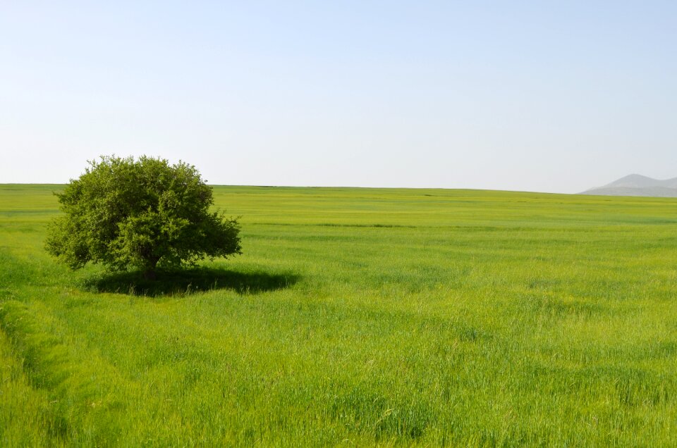 Nature landscape background
