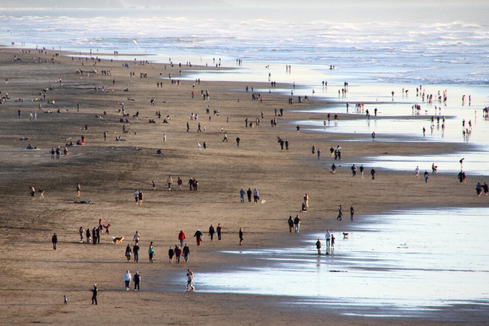 San francisco people sea