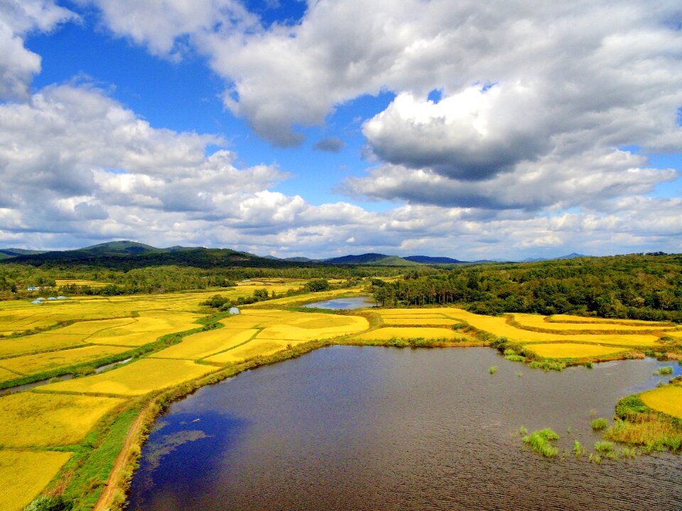 Agriculture china landscape