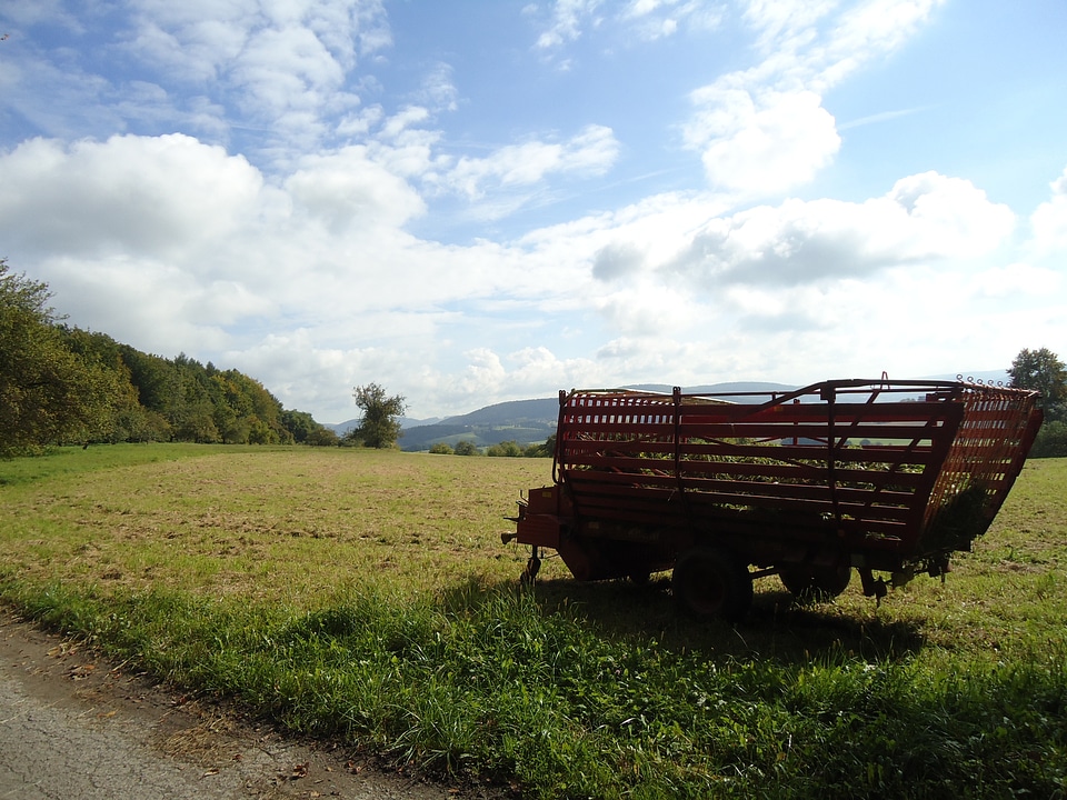 Harvest field arable