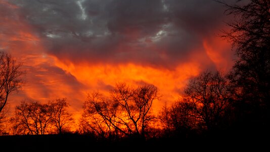 Spectacular red natuschauspiel photo