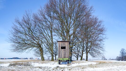 Ice winter away