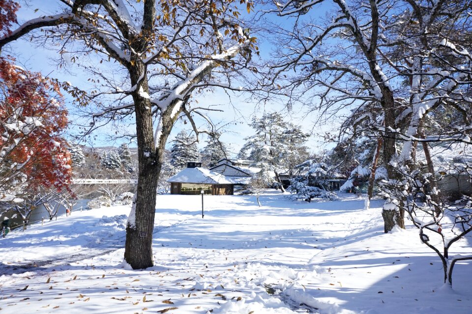 North snow karuizawa