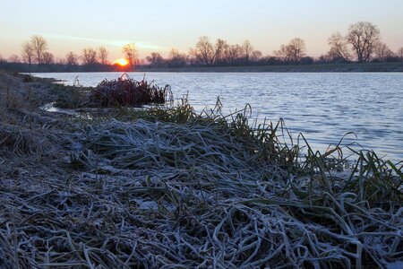 The sun freezers frosty