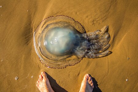 Wales sand water photo