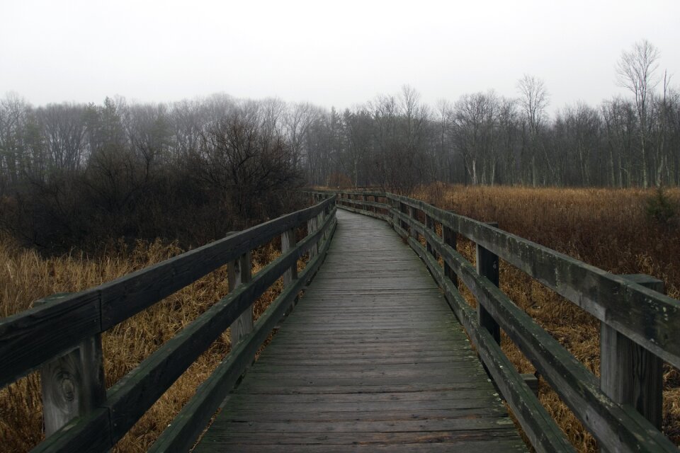 Outdoor bridge landscape