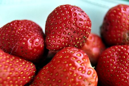 Healthy nutrient edible