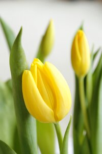 Spring background greeting card