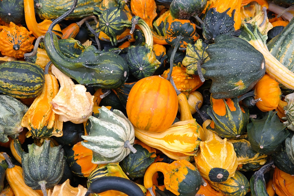 Autumn orange autumn decoration