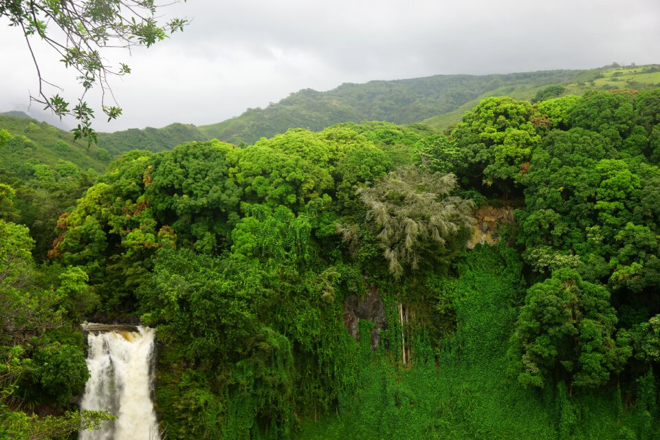 Haleakala green waterfall