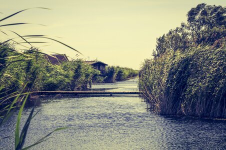 Reed atmosphere wassertrasse