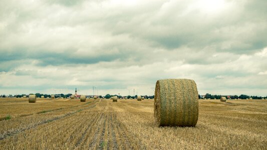 Harvest agriculture round bales