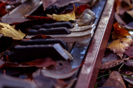 Piano keys leaves forget photo