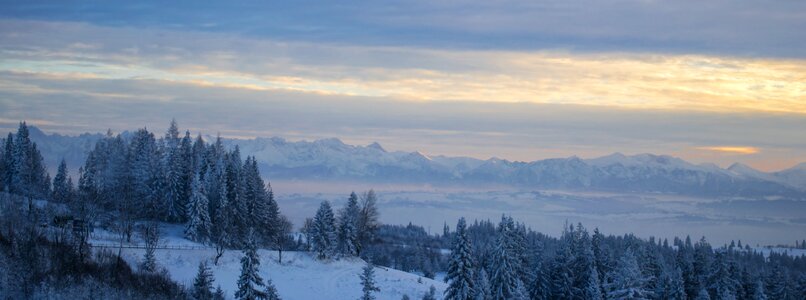 Top view landscape polish tatras photo