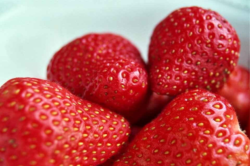Healthy nutrient edible