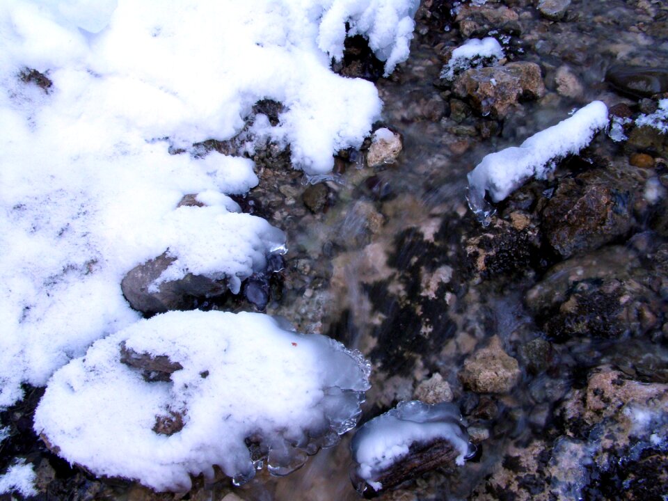 Winter moss cold
